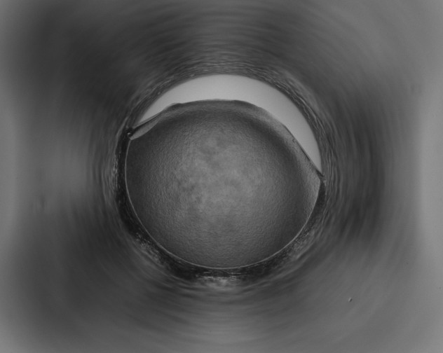 X0000086790552200705111817