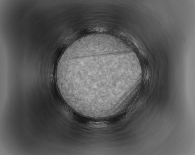 X0000086790553200705111817