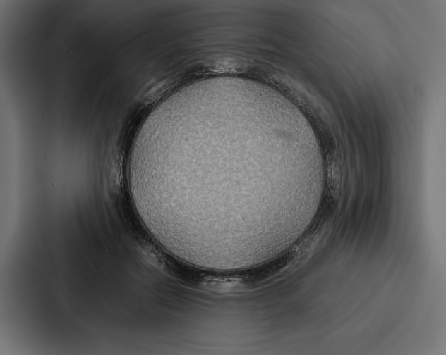 X0000086790554200705111817