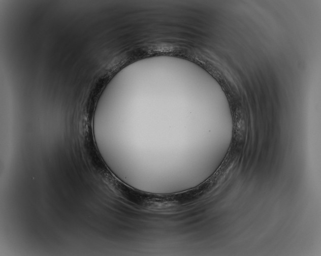 X0000086790555200705111817