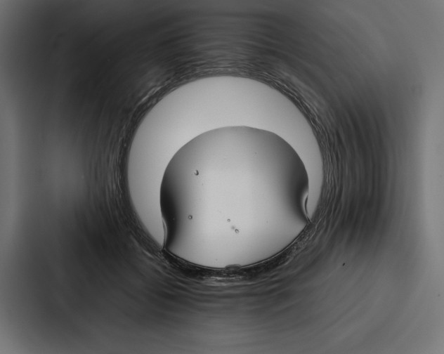 X0000086790556200705111817