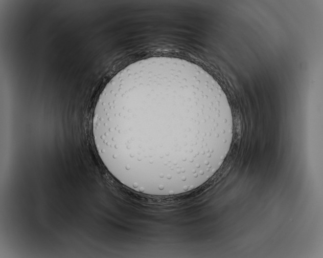 X0000086790559200705111817