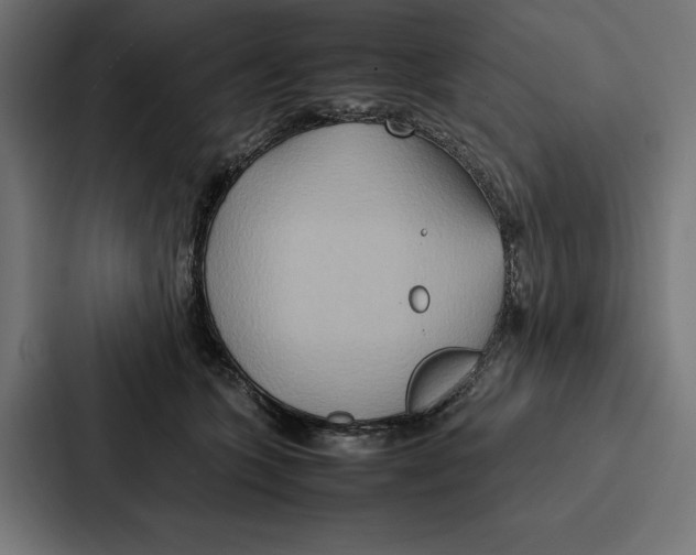 X0000086790563200705111817