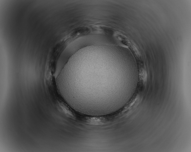 X0000086790566200705111817