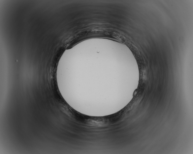 X0000086790567200705111817