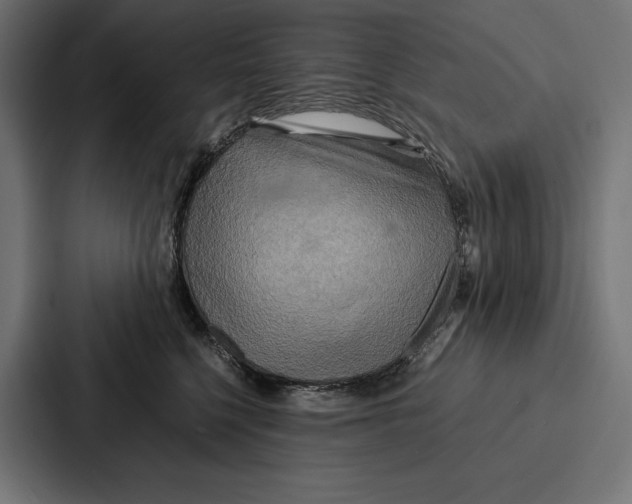 X0000086790568200705111817