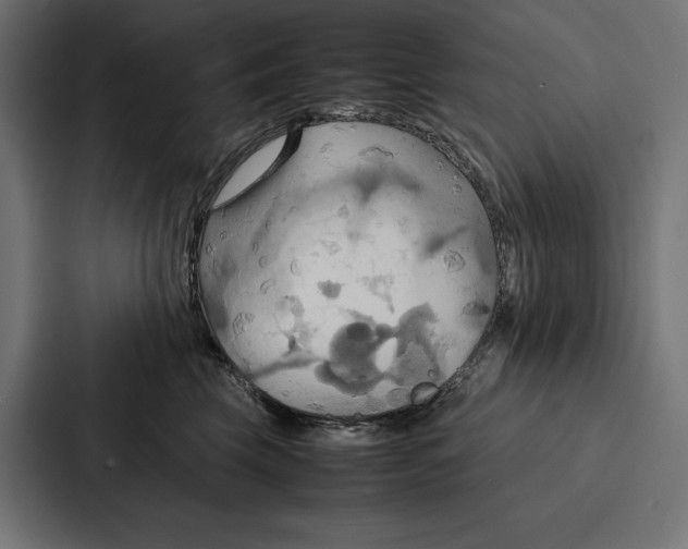 X0000086790569200705111817