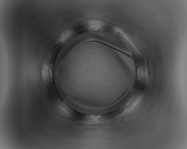 X0000086790570200705111817