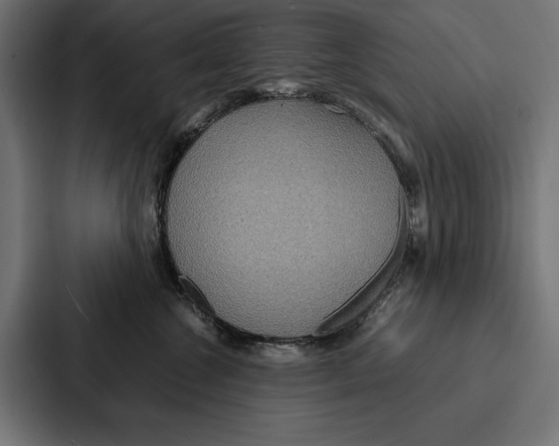 X0000086790572200705111818