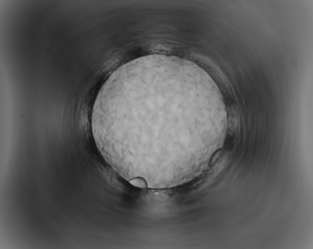 X0000086790573200705111818