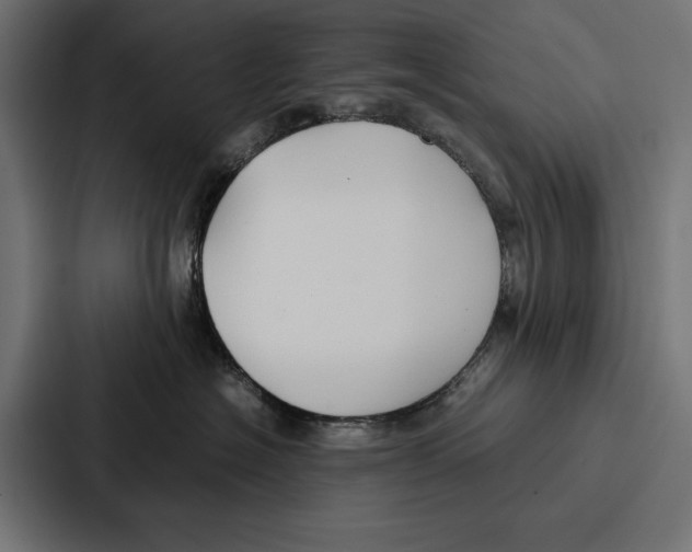 X0000086790574200705111818