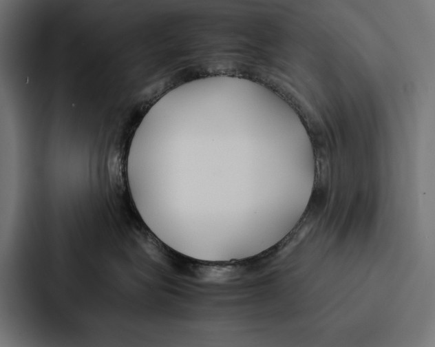 X0000086790575200705111818