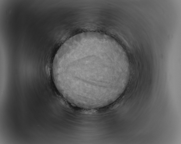 X0000086790576200705111818