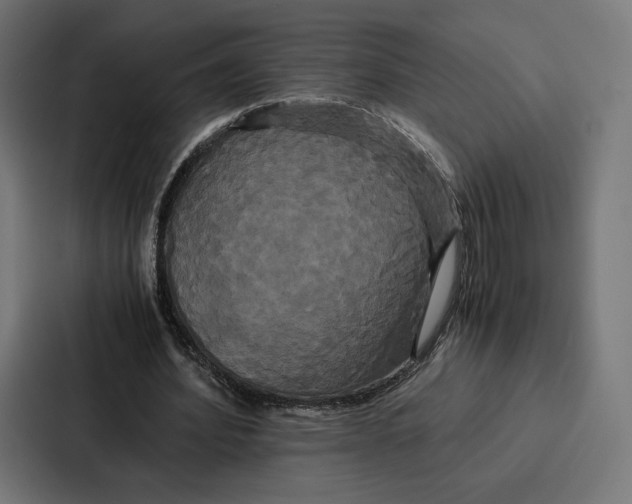 X0000086790580200705111817