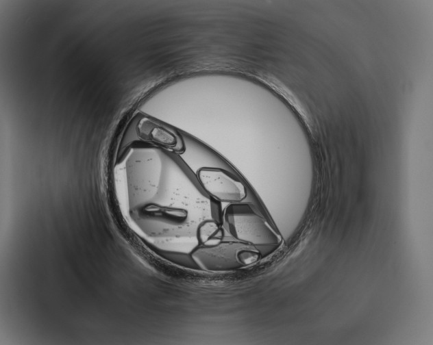 X0000086790581200705111817