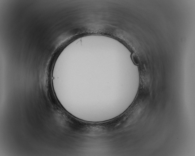 X0000086790583200705111817