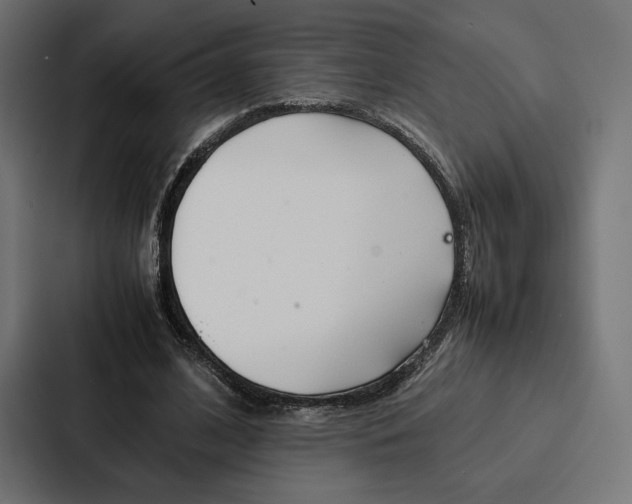 X0000086790584200705111817