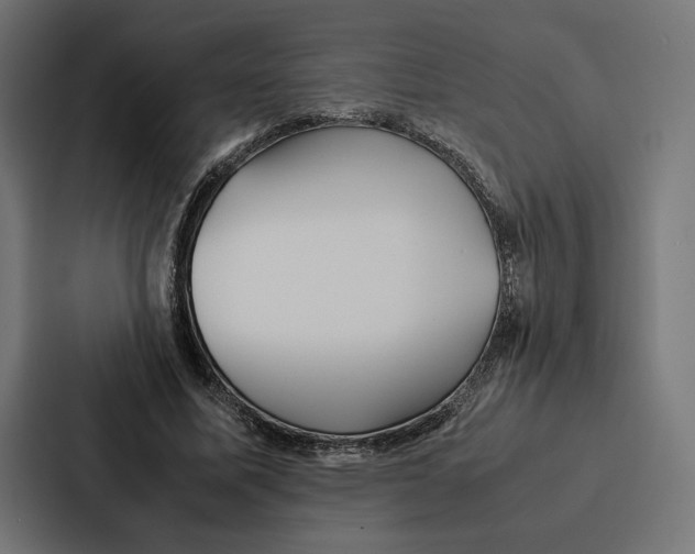 X0000086790587200705111817