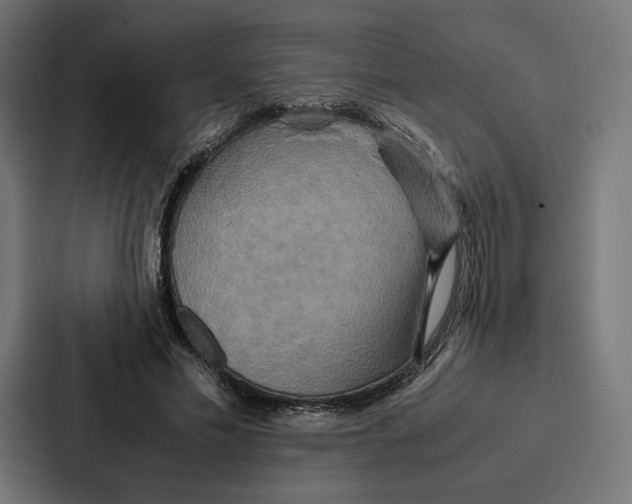 X0000086790589200705111817