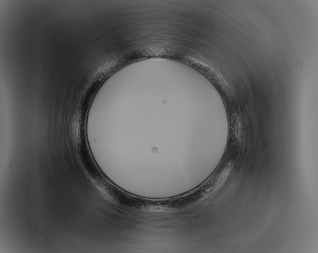 X0000086790590200705111817