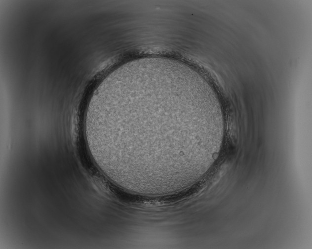 X0000086790591200705111817