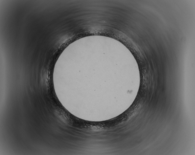 X0000086790592200705111817