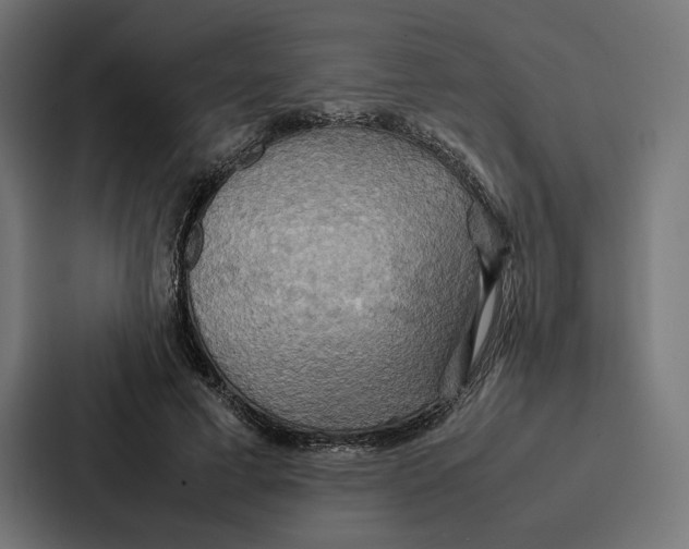 X0000086790593200705111817