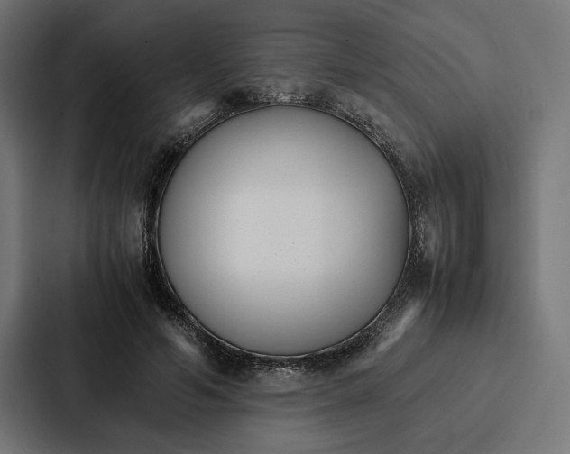 X0000086790594200705111817