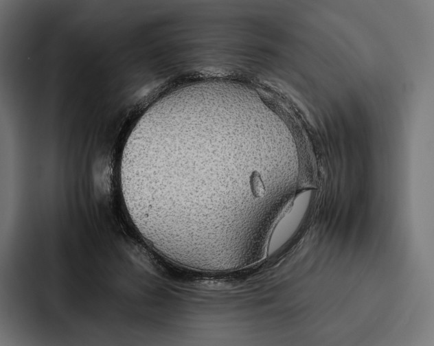 X0000086790596200705111817