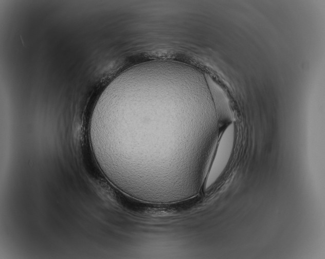 X0000086790597200705111817