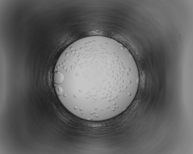 X0000086790598200705111817