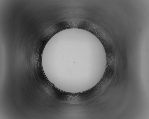 X0000086790599200705111817