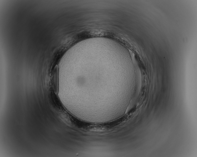 X0000086790601200705111817