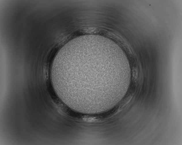 X0000086790602200705111817