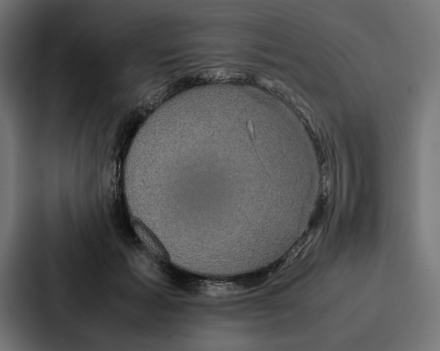 X0000086790605200705111817