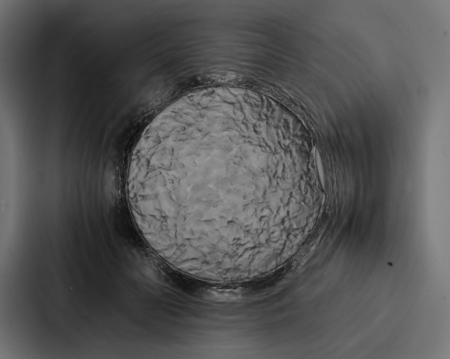 X0000086790606200705111817