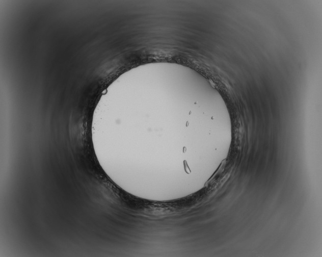 X0000086790608200705111817