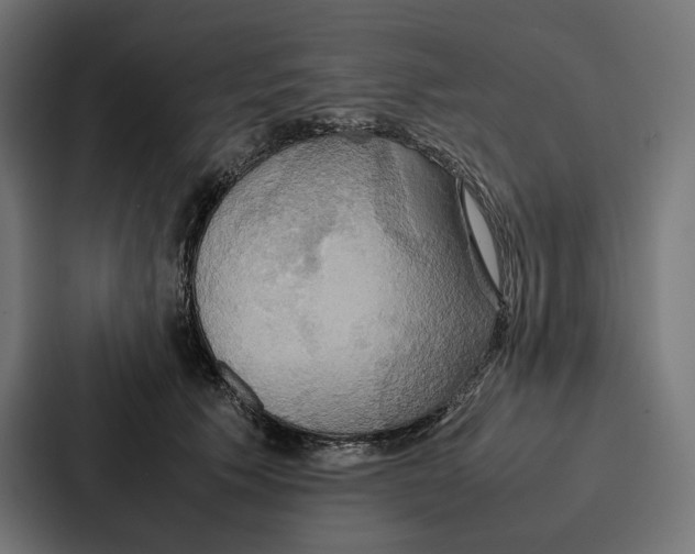 X0000086790609200705111817