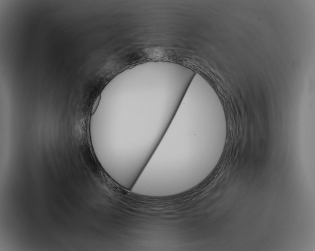 X0000086790611200705111816