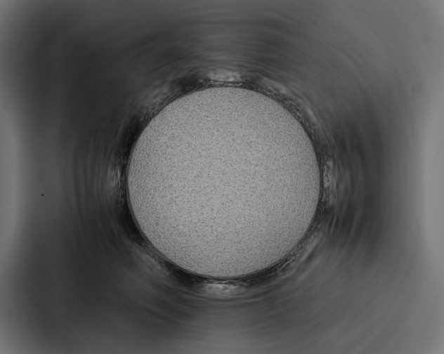 X0000086790614200705111816