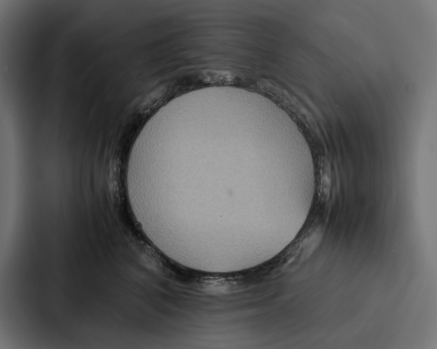 X0000086790616200705111816