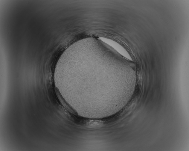 X0000086790617200705111816