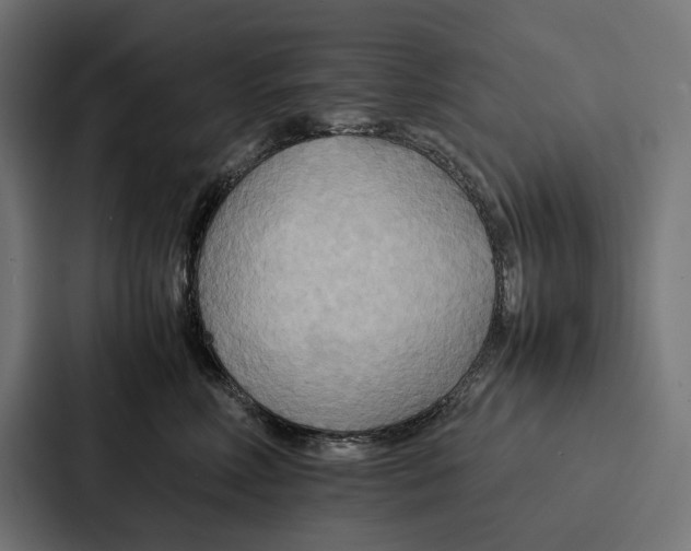 X0000086790618200705111816