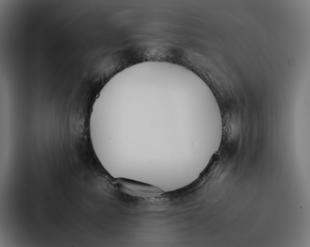 X0000086790619200705111816