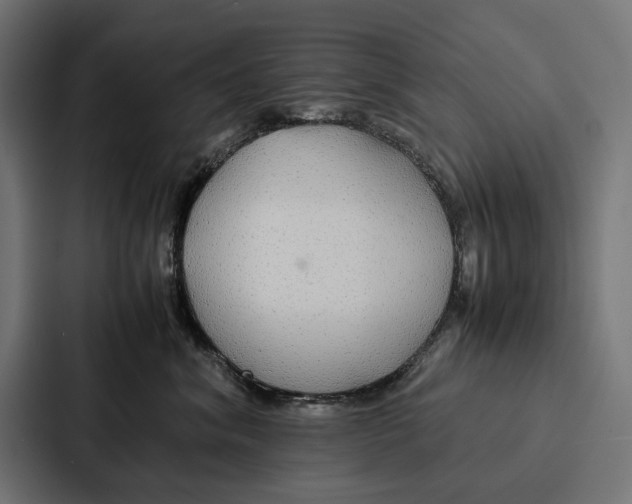 X0000086790620200705111816