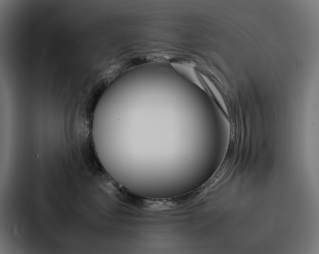 X0000086790621200705111816