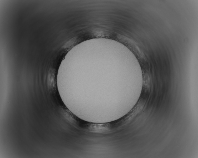 X0000086790622200705111816