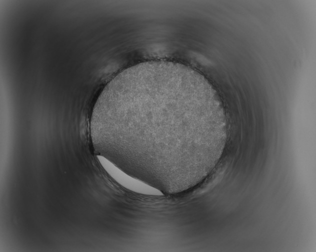 X0000086790624200705111816