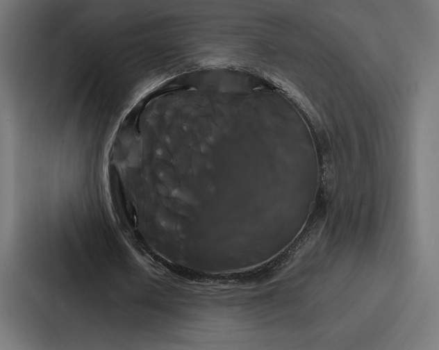 X0000086790626200705111816