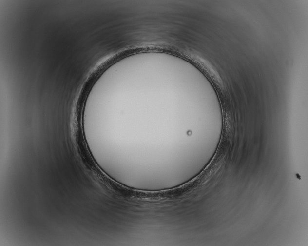 X0000086790628200705111816